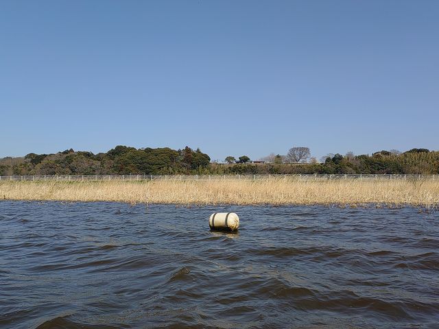 鹿島ブイ